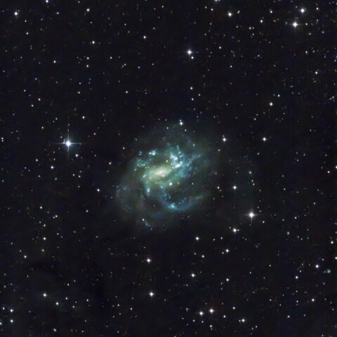 りょうけん座のNGC4385渦巻銀河