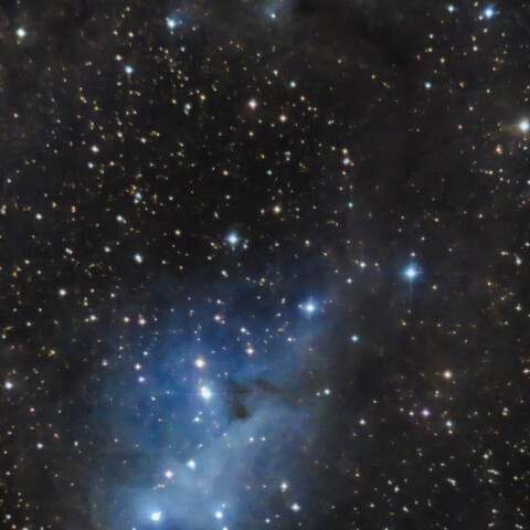 いっかくじゅう座 IC447 カタツムリ星雲