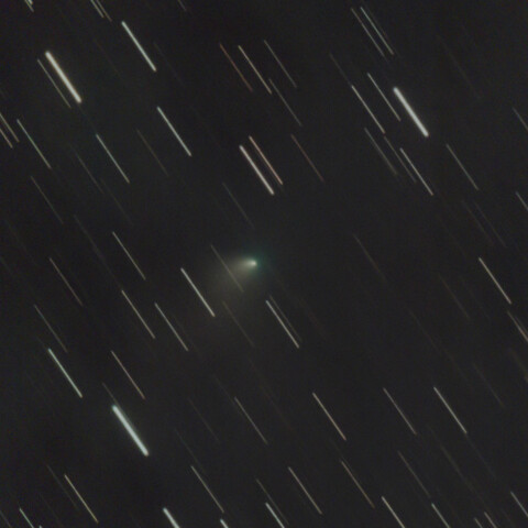 彗星☆彡　C/2024 E1 ( Wierzchos )　3/11