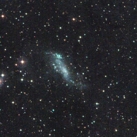 おおくま座 IC2574 コディントン星雲