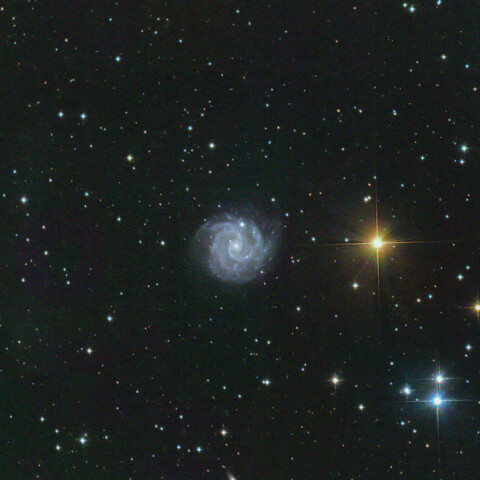 NGC3184 おおくま座