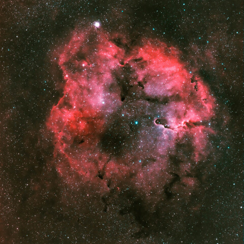 IC1396 ケフェウス座