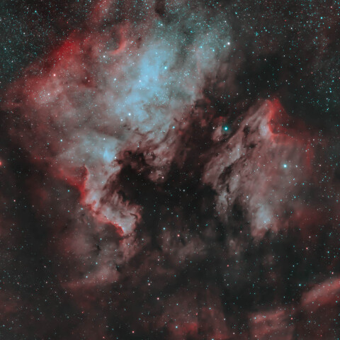 NGC700 IC5067 はくちょう座
