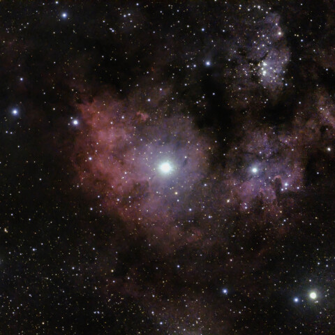 Ced214 クエスチョンマーク星雲の“心臓部”