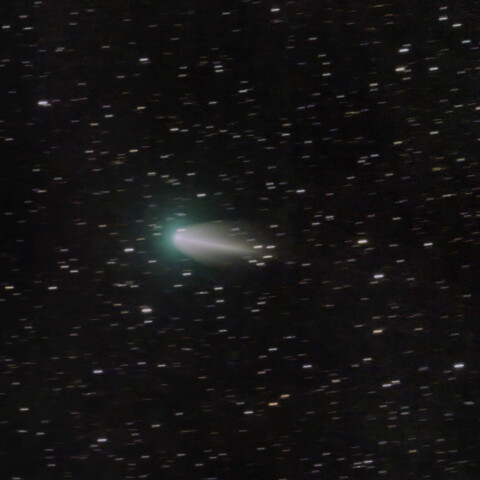 220P/マックノート彗星(08/13)