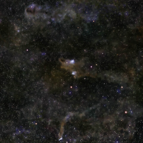 シャーク星雲　LDN1235付近