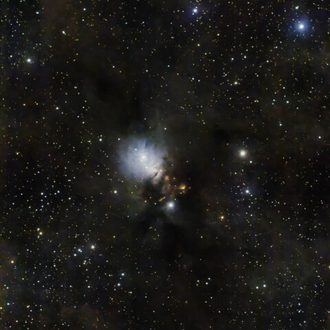 NGC1333　ペルセウス座