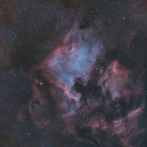 ツイン鏡筒でテスト撮影 はくちょう座の散光星雲