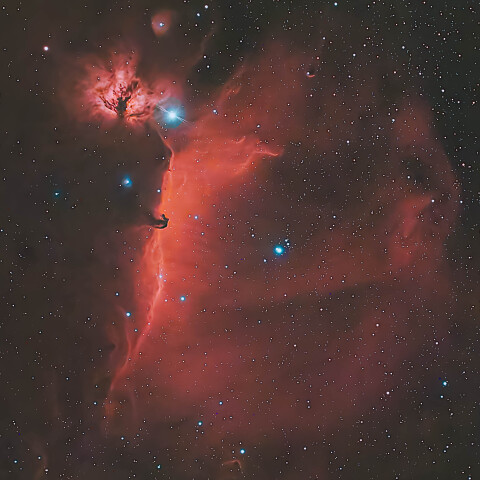 オリオン座 馬頭星雲 燃える木星雲