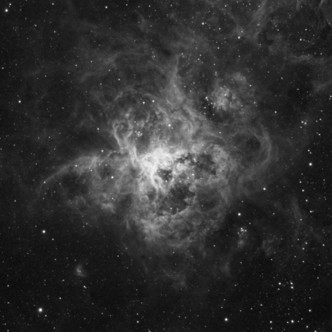 NGC2070 Tarantula Nebula (Ha)