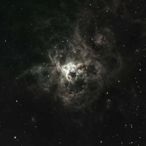 NGC2070 Tarantula Nebula (H alpha-rgb)
