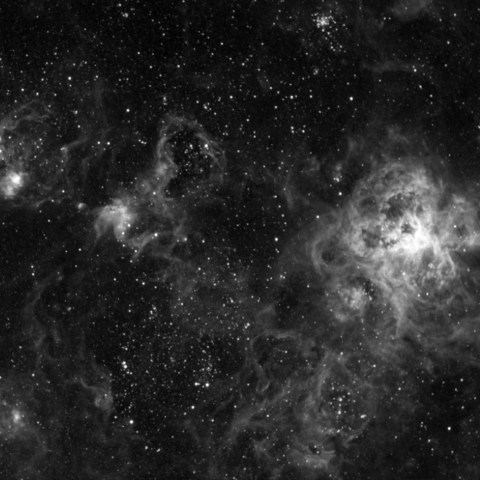 タランチュラ星雲(NGC2070)付近