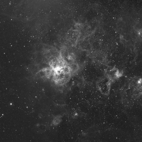 タランチュラ星雲 (NGC2070)付近