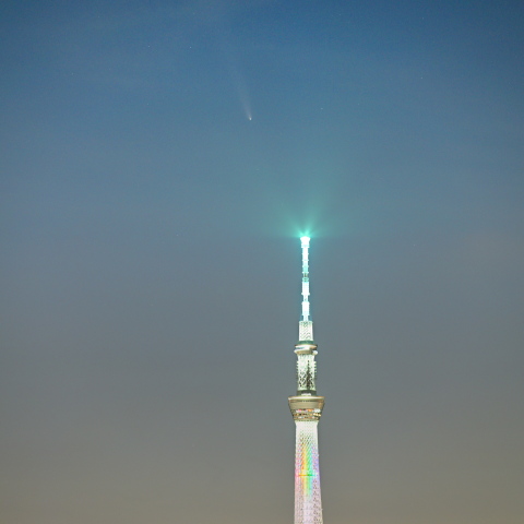 スカイツリーと紫金山・アトラス彗星