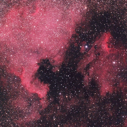 北アメリカ星雲とペリカン星雲