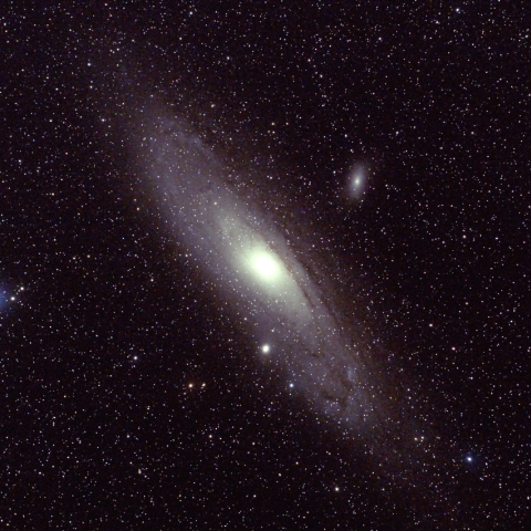 M31