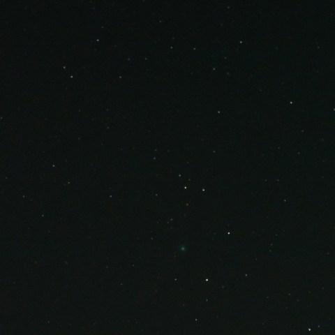 何とか撮ったよ