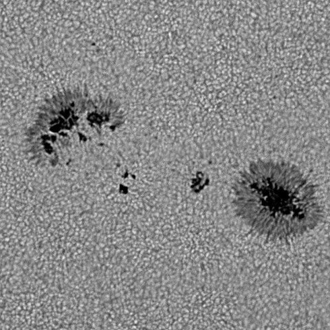 太陽黒点13881_20241104