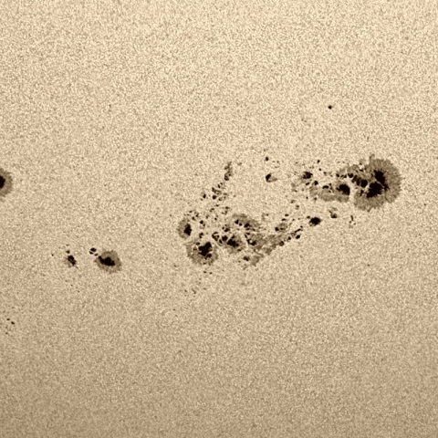 太陽黒点　14196 14197 14201 14202