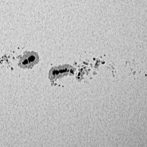 太陽黒点 14294 14296 14298 12月07日