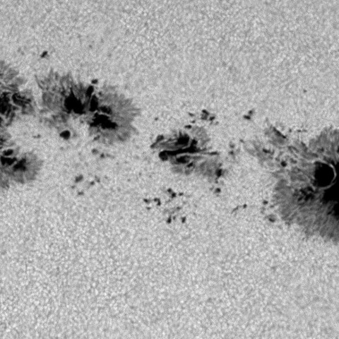 太陽黒点 14366  2月04日