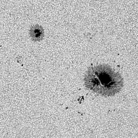 太陽　14446&14449  5月30日