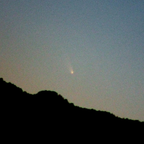 パンスターズ彗星（C/2011 L4）