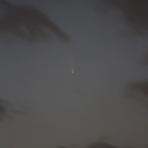 3月16日のパンスターズ彗星