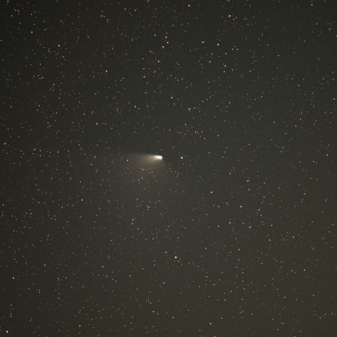 パンスターズ彗星