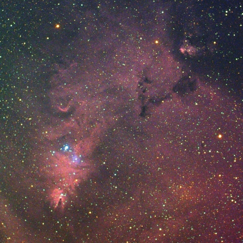 クリスマスツリー星雲