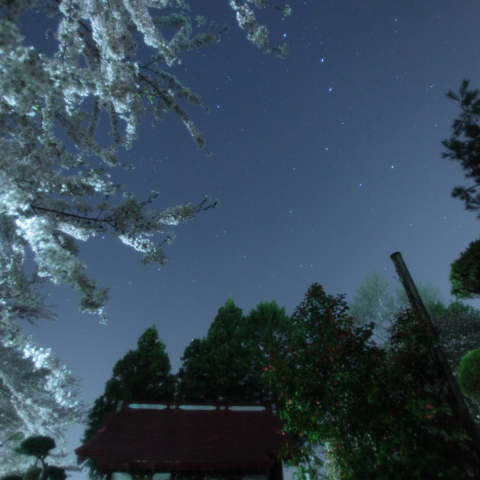 神と共に遅い春の訪れを喜ぶ