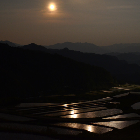 田毎の月