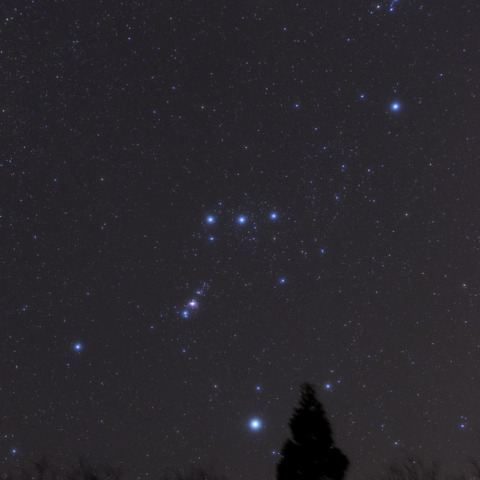 冬の終わりのオリオン座