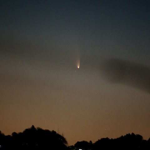 高尾山とパンスターズ彗星