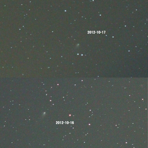 ペガスス座を北進する彗星168P