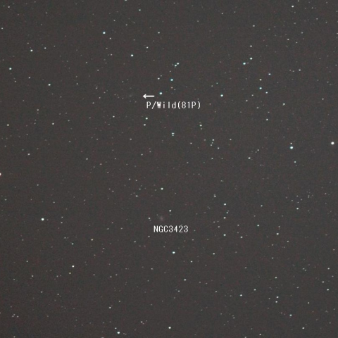 しし座のヴィルト（81P Wild）彗星