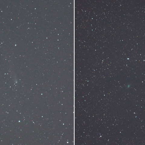 81Pウイルド彗星とC/2009 K5マクノート彗星