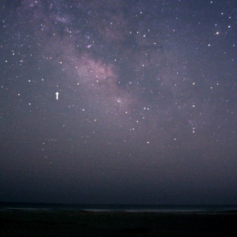 洋上の新星Sgr2015　No.2とさそり座、いて座