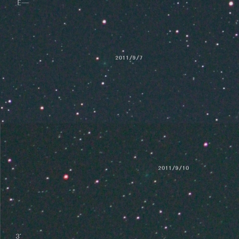 やまねこ座を南下するC/2010G2ヒル彗星