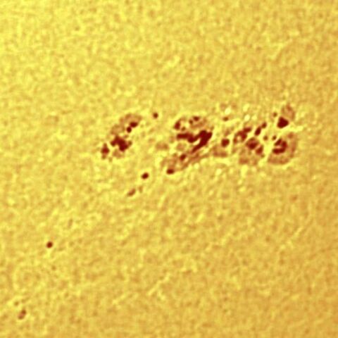 黒点群2860 2021年8月30日