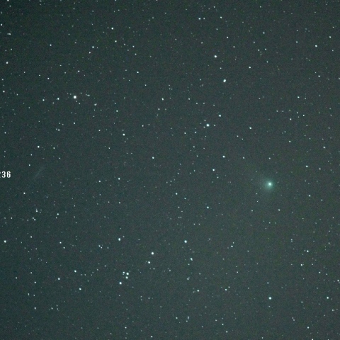 ギャラッド彗星とりゅう座の銀河NGC4236