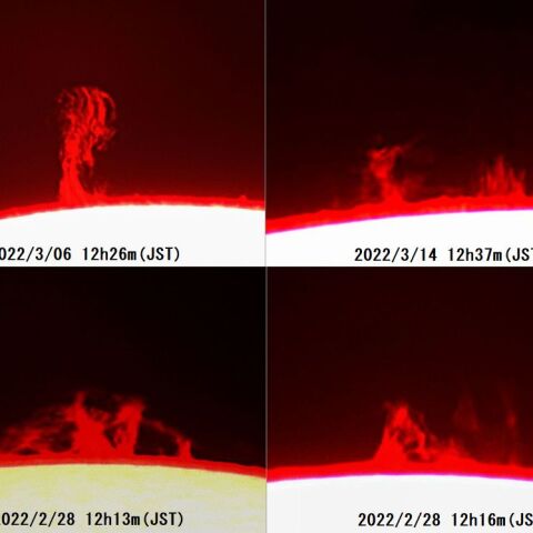 プロミネンス4態