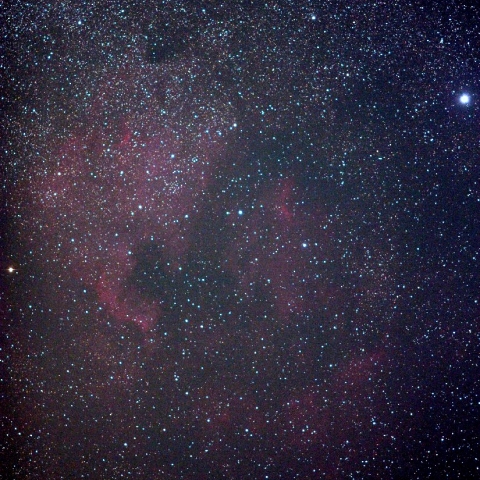 はくちょう座デネブと北アメリカ星雲、ペリカン星雲