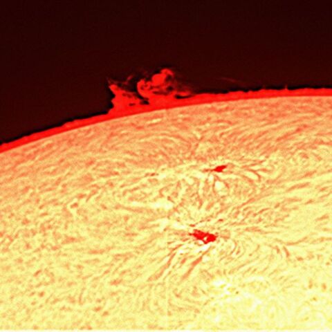 太陽黒点とプロミネンス