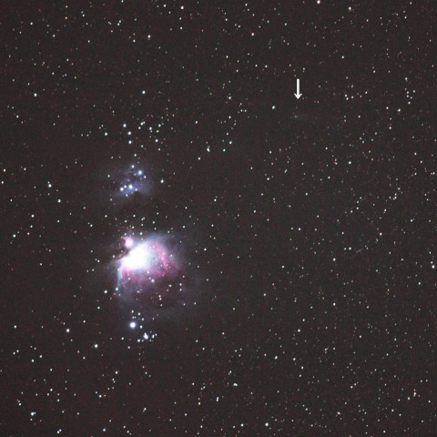 M42を目指す217Pリニア彗星