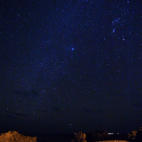 冬の大三角とカノープスin室戸岬