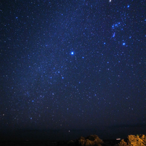 冬の大三角とカノープス