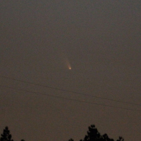 パンスターズ彗星