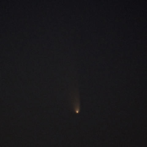 パンスターズ彗星