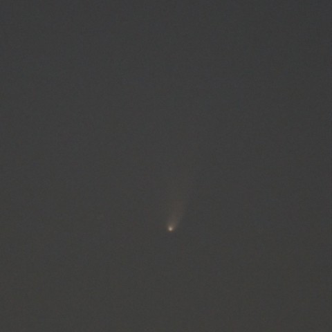 パンスターズ彗星